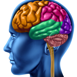 7 CPD Points (ONLINE) - Emotional Intelligence and Critical Thinking